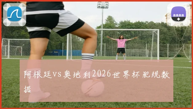 阿根廷vs奥地利2026世界杯犯规数据