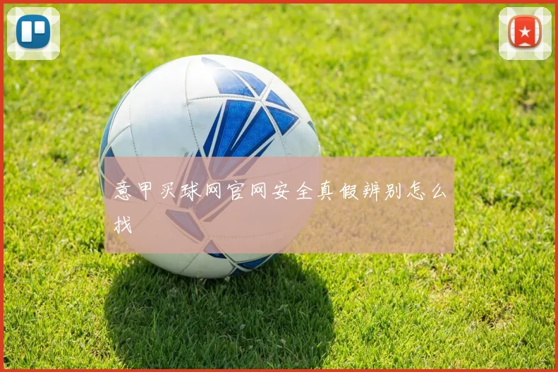 意甲买球网官网安全真假辨别怎么找