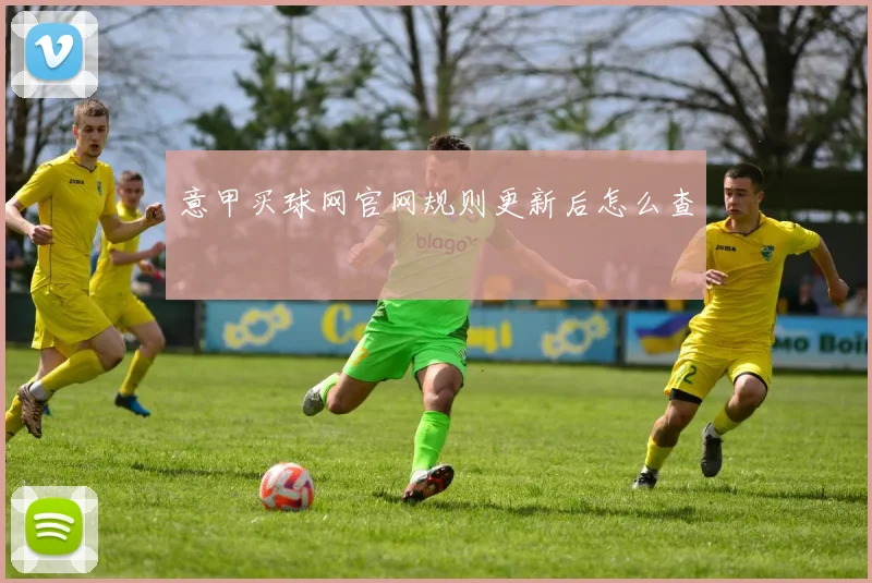 意甲买球网官网规则更新后怎么查