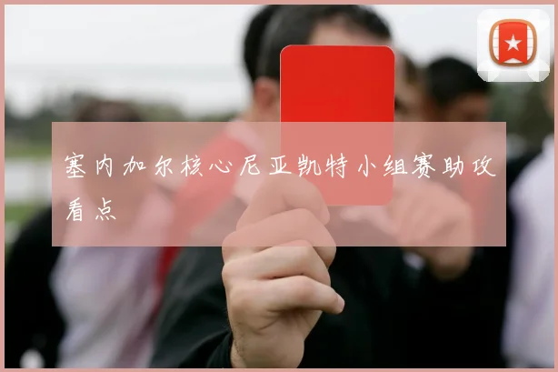 塞内加尔核心尼亚凯特小组赛助攻看点