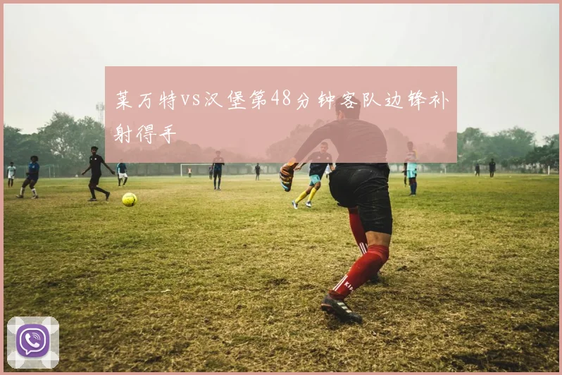 莱万特vs汉堡第48分钟客队边锋补射得手