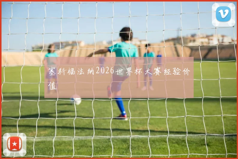 塞科福法纳2026世界杯大赛经验价值